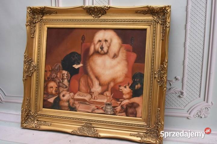 Śmieszne Psy Pies Pies Nauczyciel Złota Rama Kraków