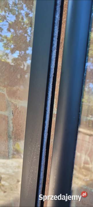 Kabina Prysznicowa Trendy