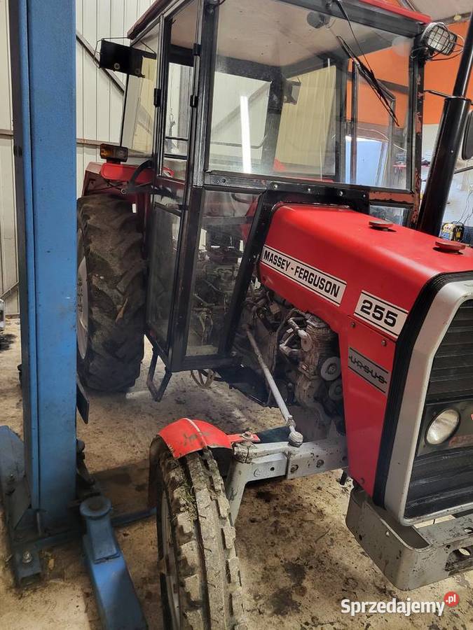 Mf 255 ferguson 255 Trzciana