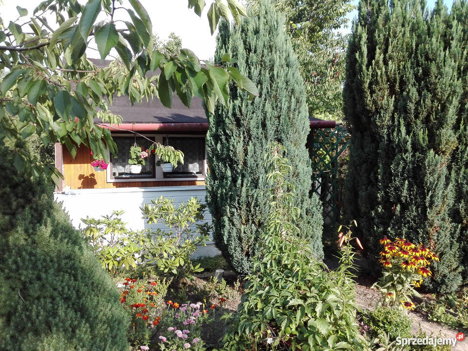 Działka relreacyjna