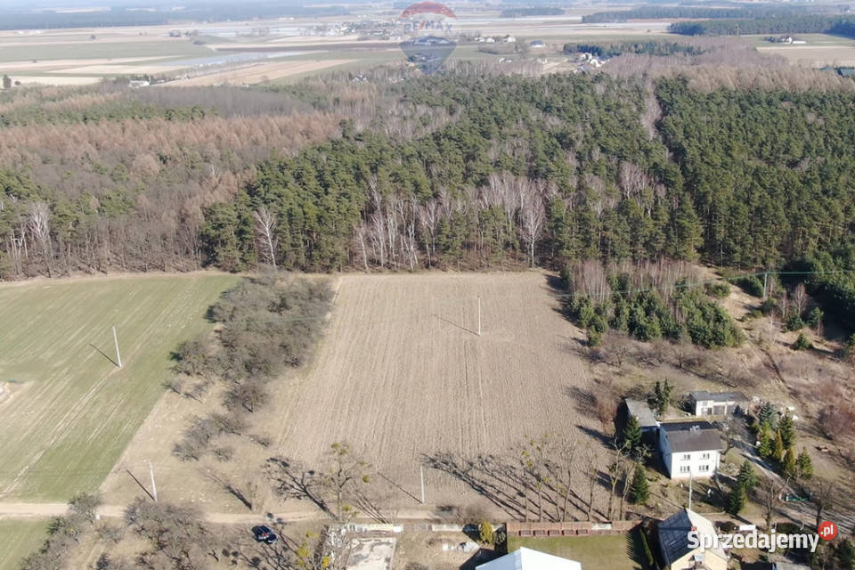 Działka pod lasem Załuski 47m