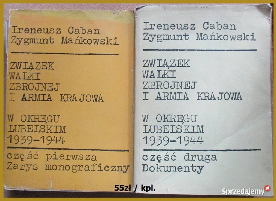 historia wojna Trocki Stalin Guderian Majski AK Łódź