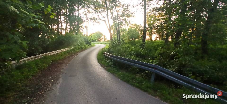 Działka rolnobudowlana WZ 7700m2 świętokrzyskie Skotniki Małe