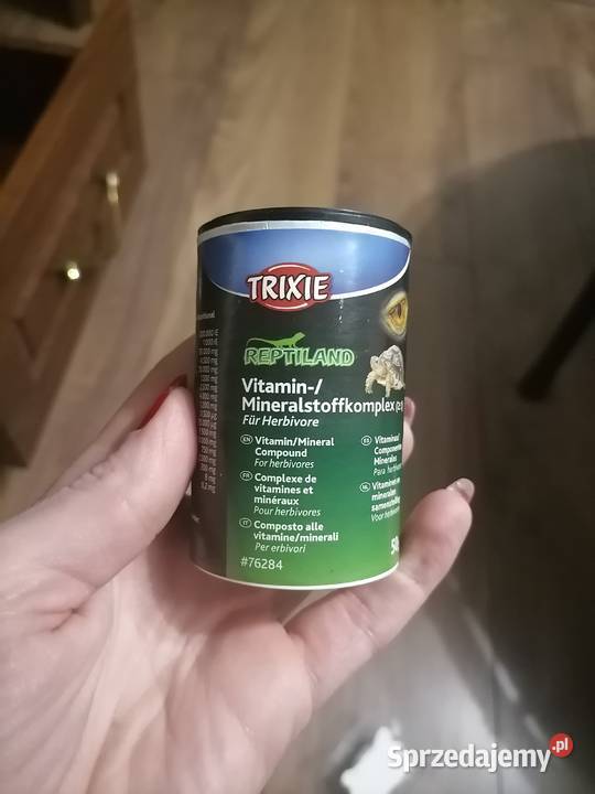 Żółw grecki kujawsko-pomorskie Skępe
