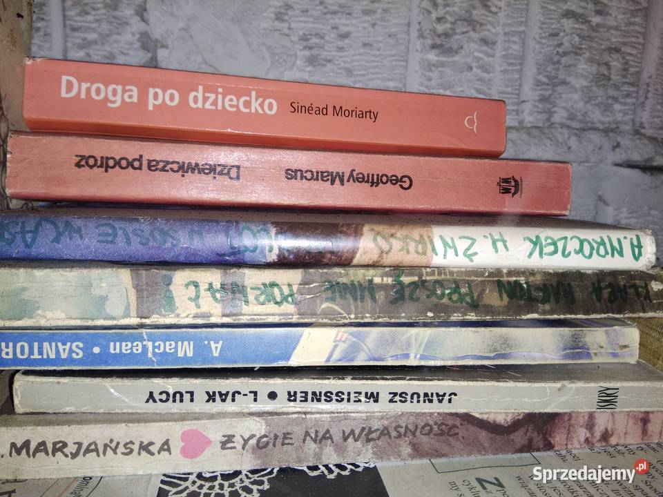Lbjak Lucy Meissnera książki używane mazowieckie Warszawa