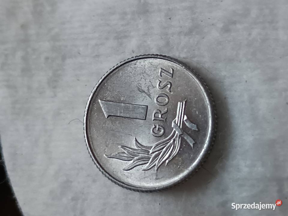Sprzedam monetę 1 grosz 1949 r Chełm