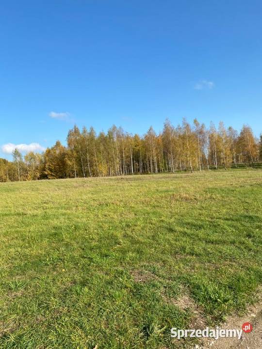 Dzialka Budowlana Osada Brzozowa Dolina