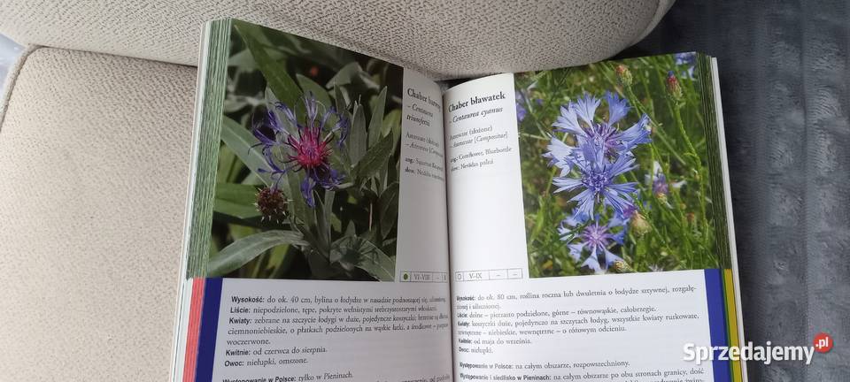 Atlas roślin pienińskich Kraków