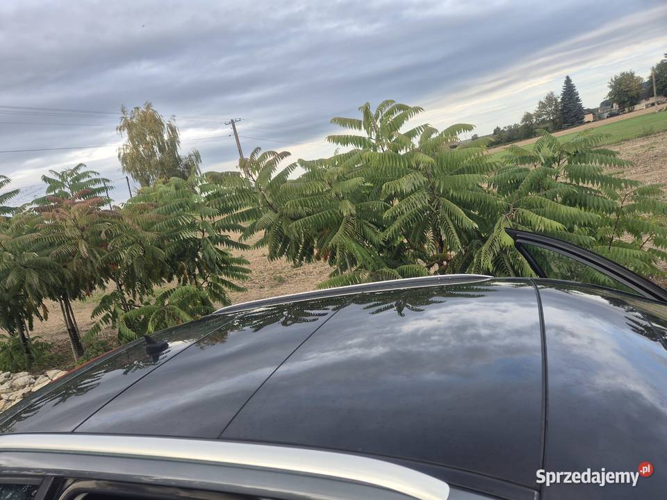 Sprzedam Audi A3 8P nieuszkodzony lubelskie