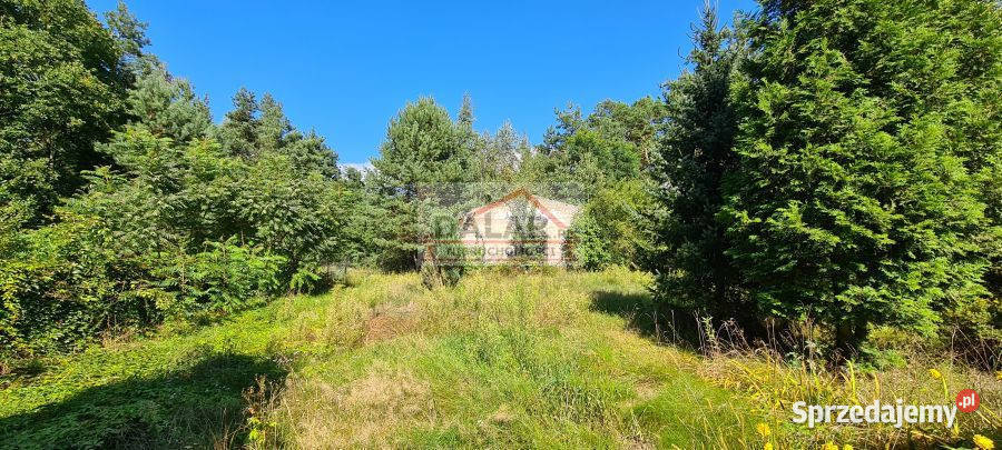 sprzedaży domu wolnostojącego 125m Kolonia Kolonia Rozniszew