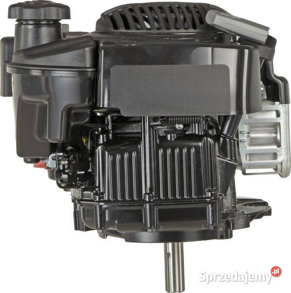 Silnik wał pionowy 59 850E jednocylindrowy Kamionna