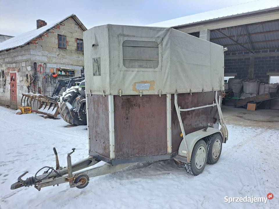 Przyczepa do przewozu zwierząt Boeckmann łódzkie Lasek