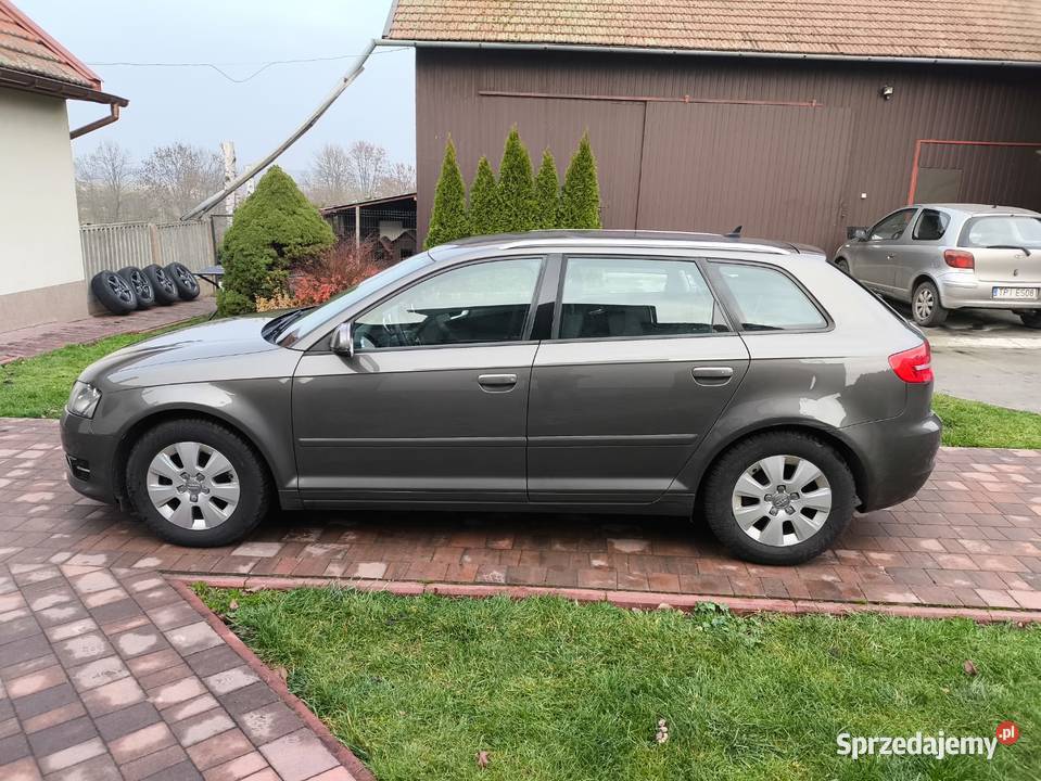 19 TDI 105 Diesel Nawigacja Klimatyzacja radio Pińczów