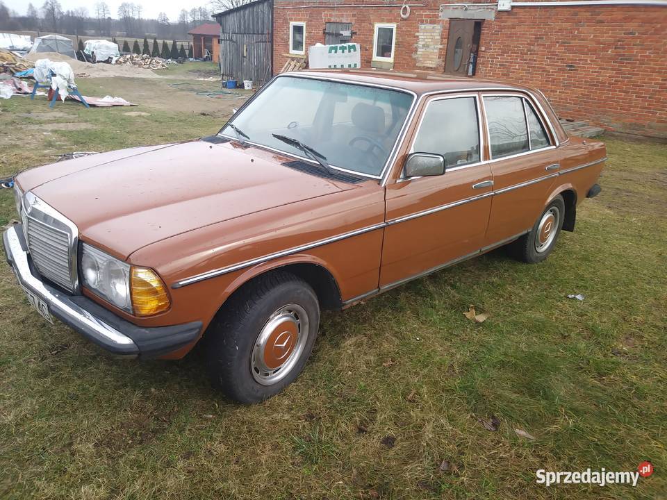 Kultowa beczka Mława