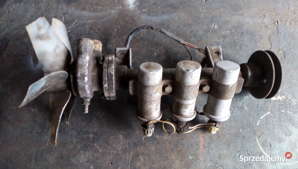 Syrena świętokrzyskie