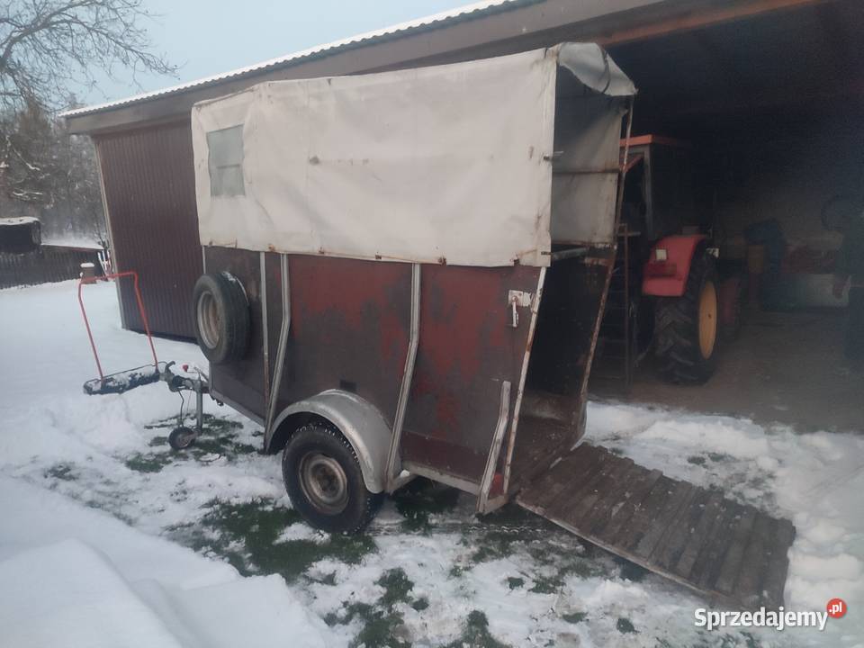 Przyczepa na konie WERTMANN Jaksonek