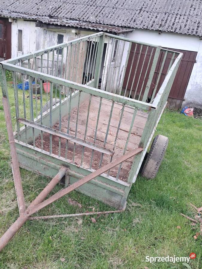 wózek do przewozu zwierząt Opole Lubelskie