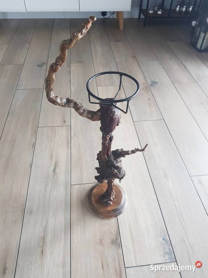 Kwietnik z korzenia winorośli Wola Podłężna