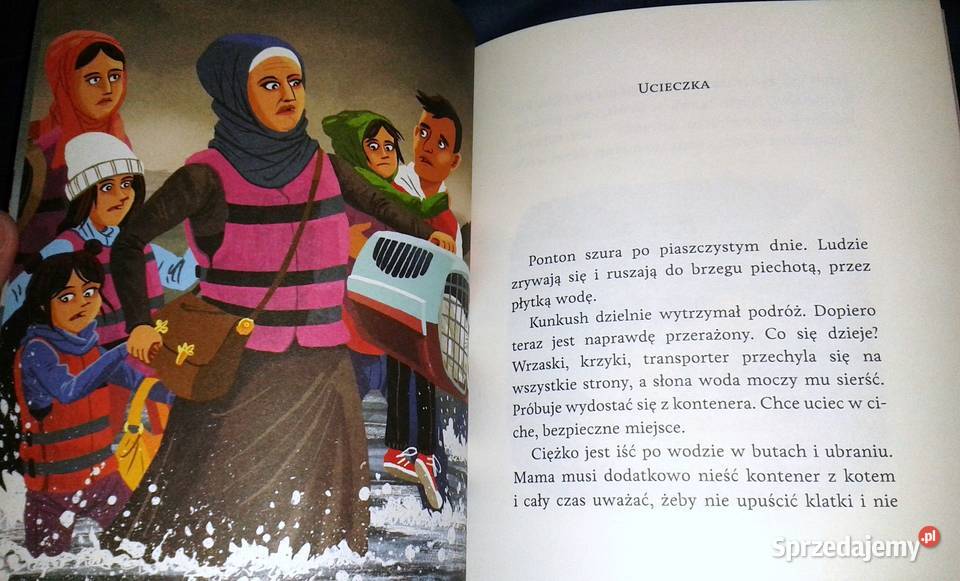 Kot który zgubił dom Ewa Nowak Rok wydania 2016 Chełm