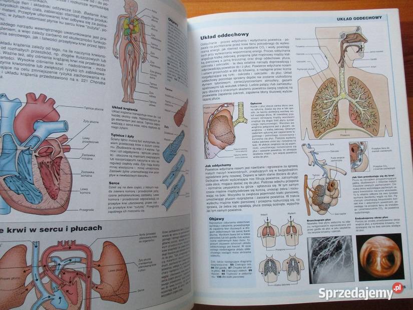 Sztuka kochania Michalina Wisłocka seksuologia Łódź