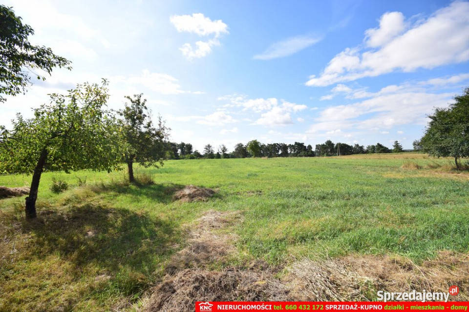 Siedlisko na działce 99a 20 minut Lublina lubelskie Struża