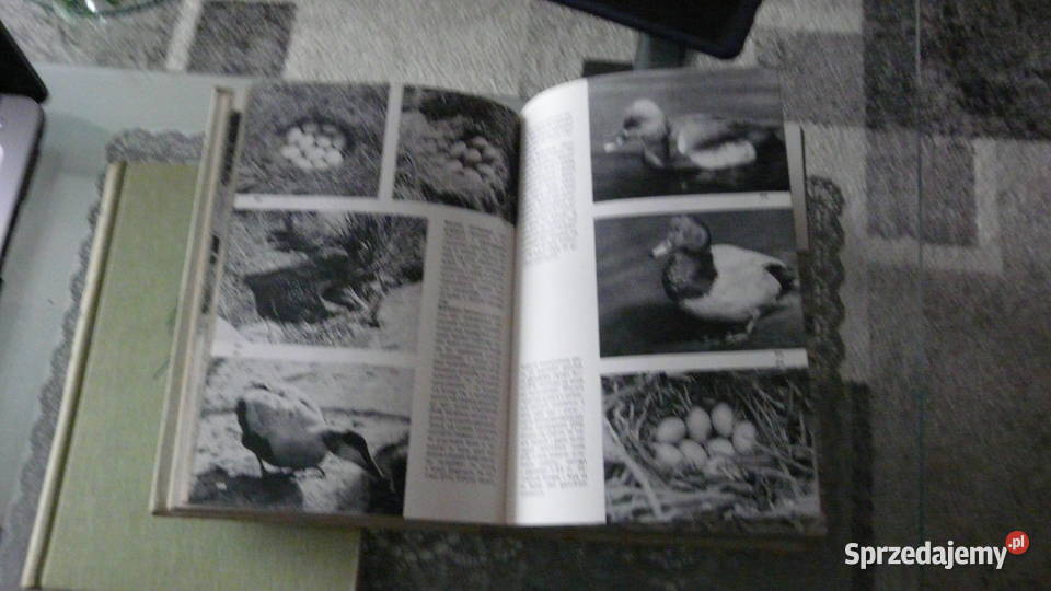 Wielki Atlas Ptaków JHanzak sprzedam