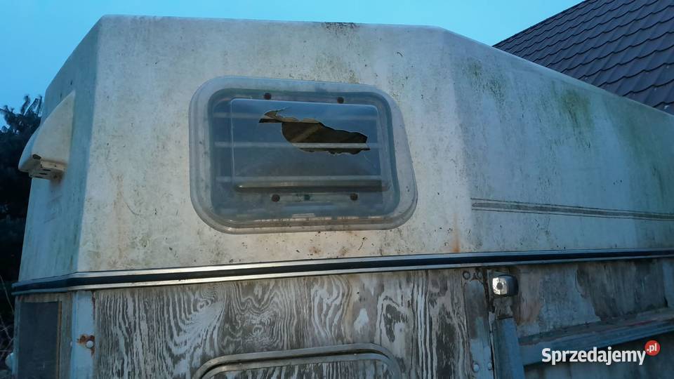 przyczepka do przewozu koni brenderup 2 osie Lubiatów