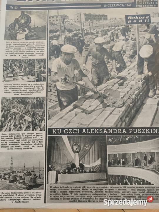 Stare gazety czasopisma Rok wydania 1950 sprzedam