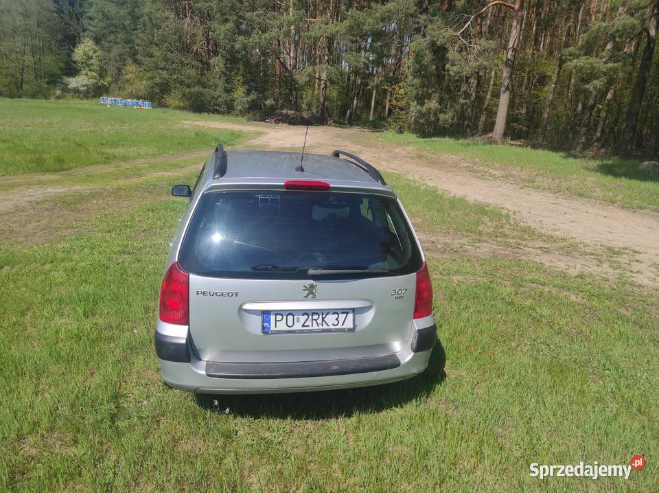 Peugeot 307 2007 16hdi 109 Mieścisko