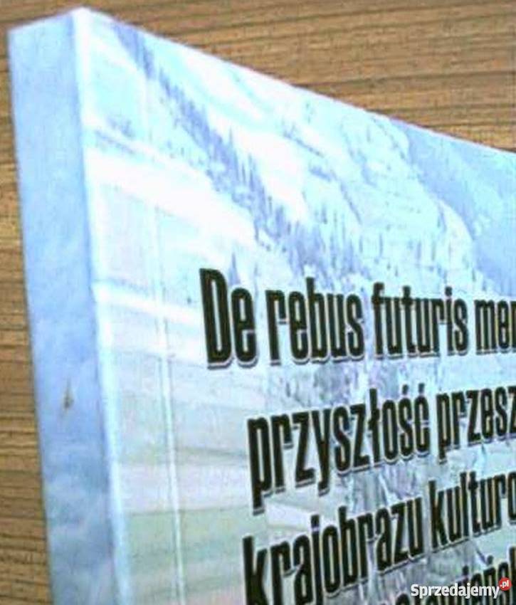 Przyszłość Przeszłego Krajobrazu Kulturowego Książki i Podręczniki Koszalin