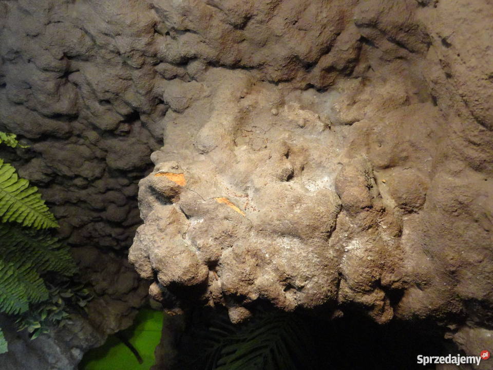 Sprzedam terrarium 250 Piaseczno