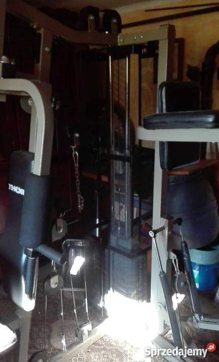 Atlas Thorn Platinium Limited Edition