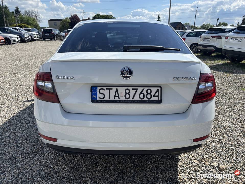 Skoda Octavia GWARANCJA 146232km Octavia Paniówki