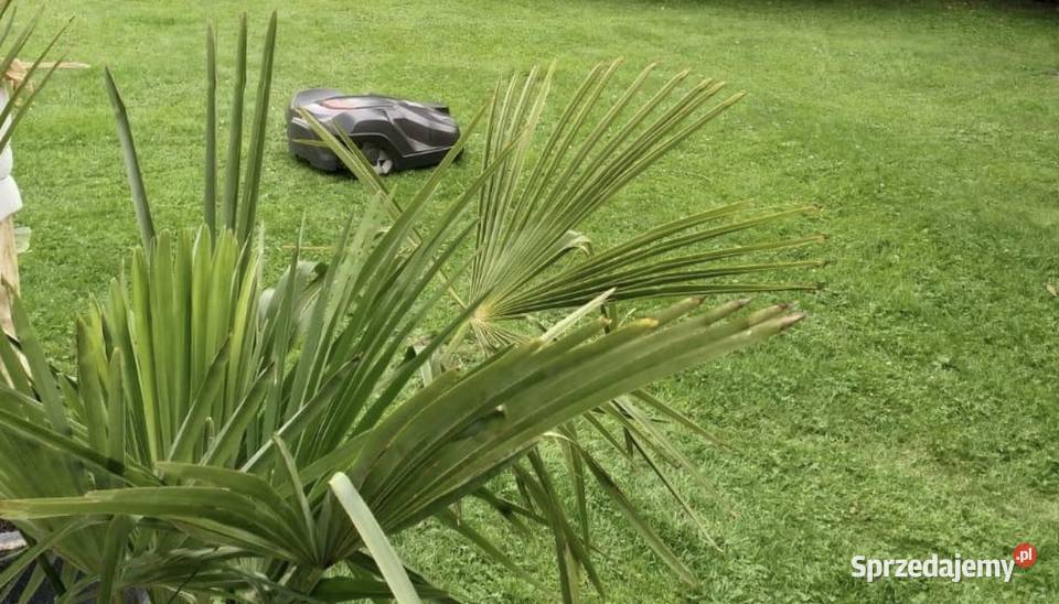 Sprzedam Robota Husqvuarna auto mower 330x Deszczno sprzedam