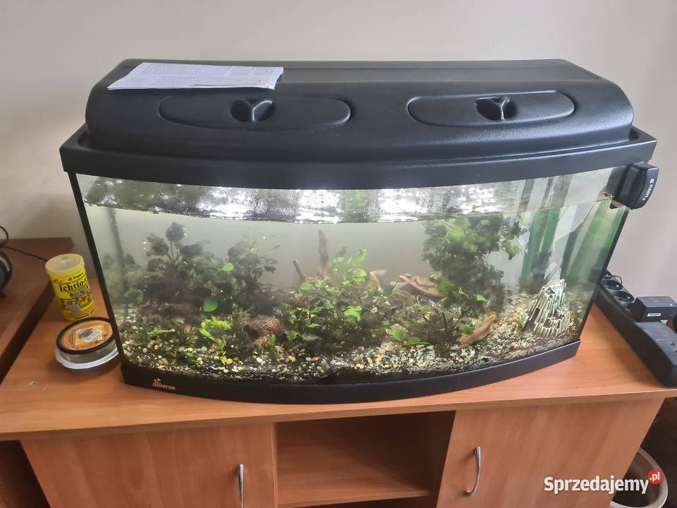 Akwarium 120l z filtrem zew I akcesoriami Ryby Warszawa