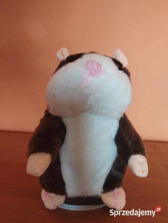 Interaktywny chomik Warszawa