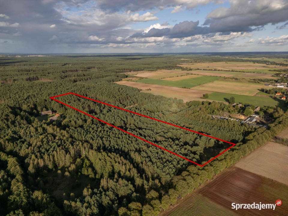 Działka z wydanymi WZ pod dom jednorodzinny wielkopolskie sprzedam