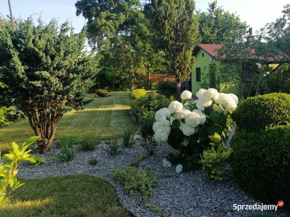 Sprzedam ogródek działkowy śląskie Sosnowiec