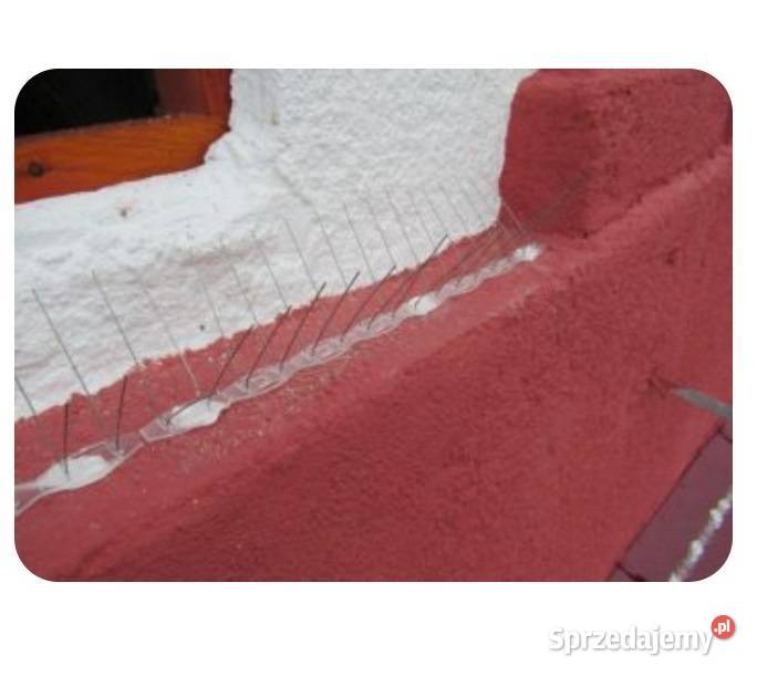 Kolce na gołębie wrony wróble Nierdzewne nie Częstochowa