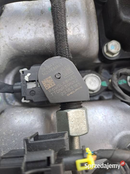 Chevrolet Cruze Captiva 20 VCDi 163 silnik śląskie Jastrzębie-Zdrój
