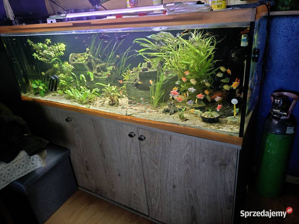 wymienniesprzedam Nowe Brzesko