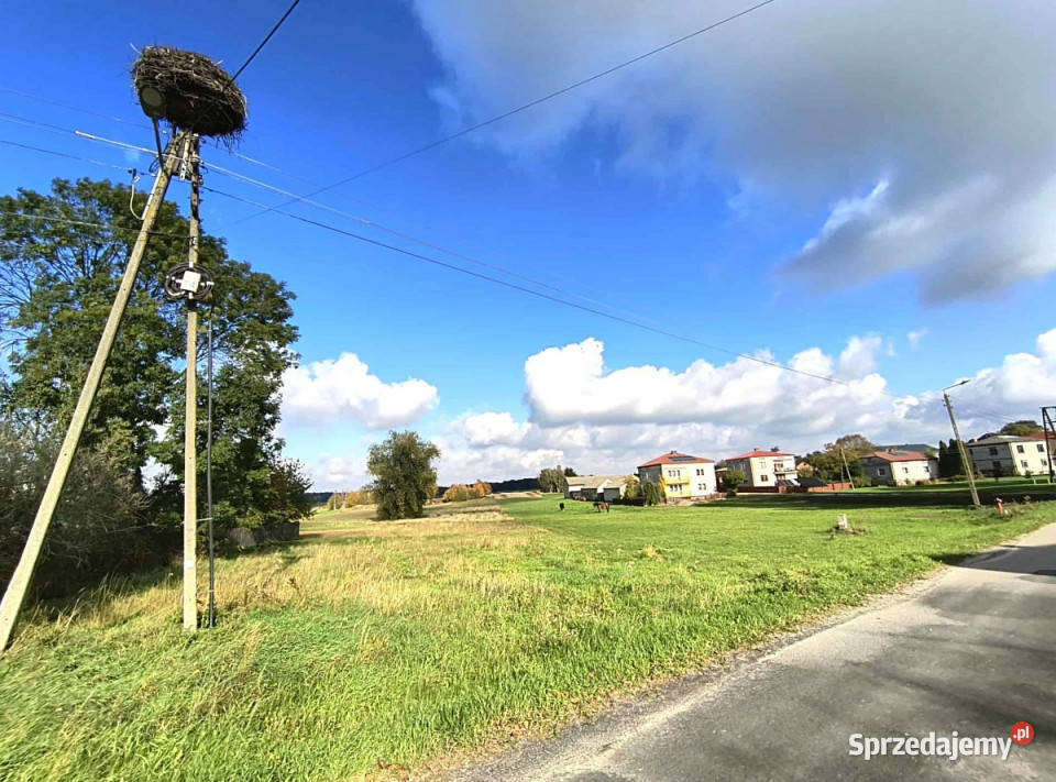 Grunt sprzedam Borków 11200m2 448m sprzedam