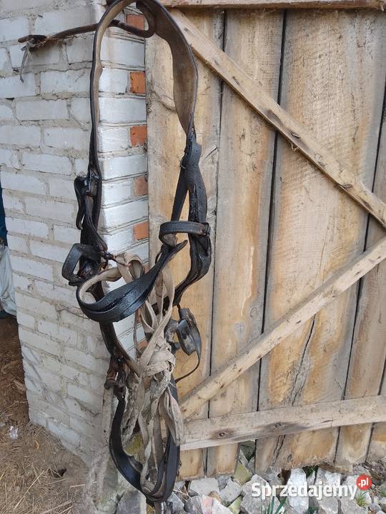 Uprząż konna Hrubieszów