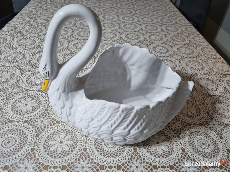 Wielki łabędź osłonka