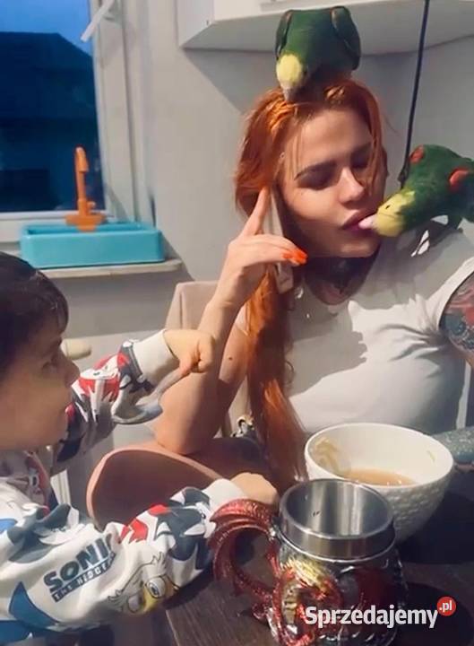 Sprzedam papugi amazonki Warszawa