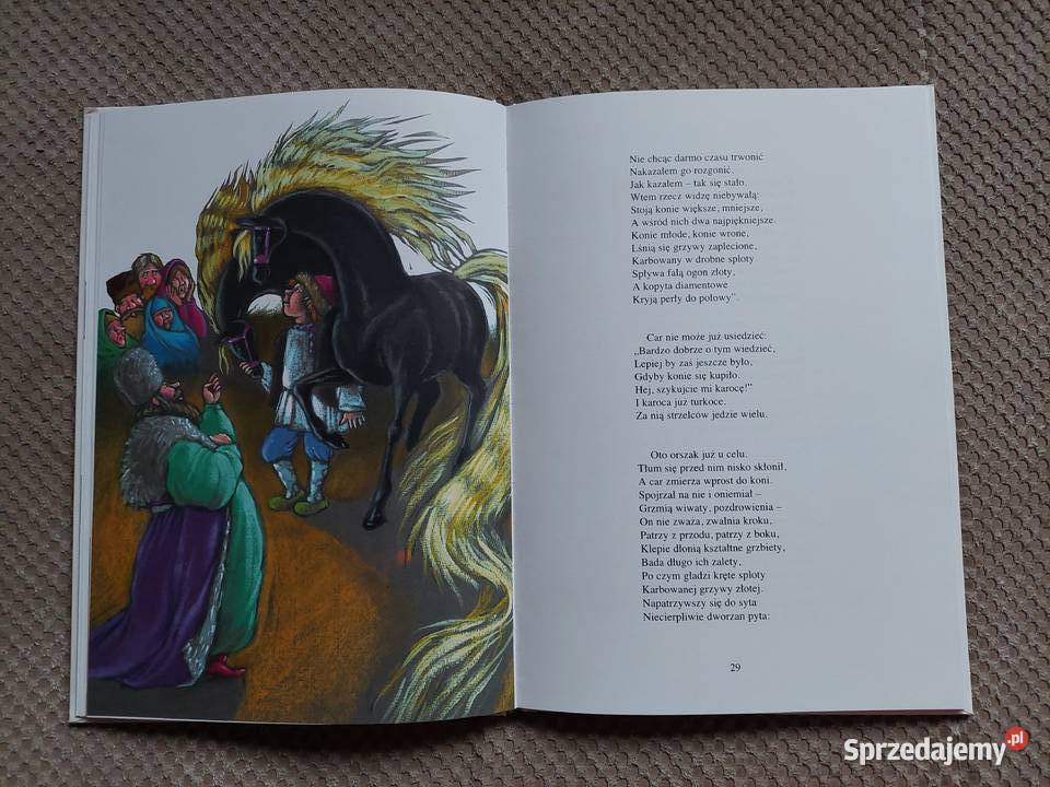 Konik Garbusek Piotr Jerszow małopolskie Kraków