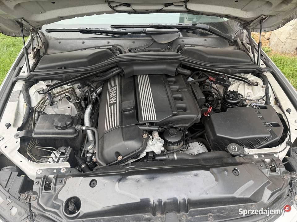 BMW e60 nieuszkodzony Lubsza