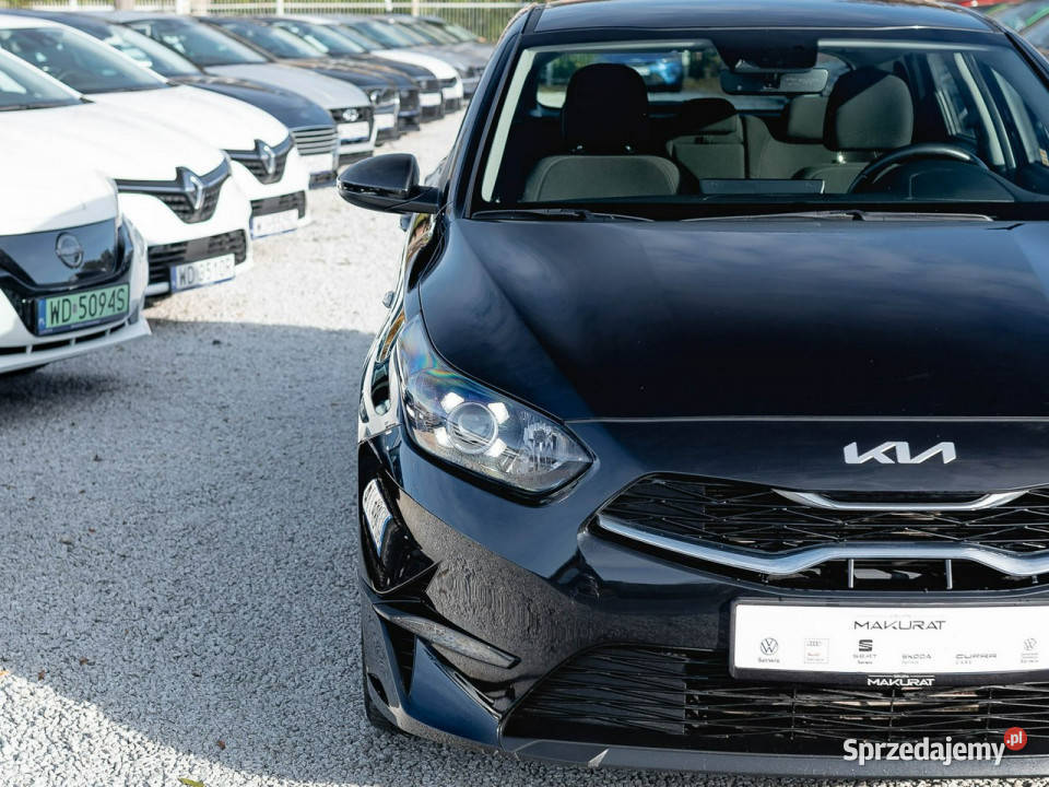 Kia Ceed WND5852C15 TGDI M DCT 2 stref klima Hatchback Kia pomorskie Gdańsk