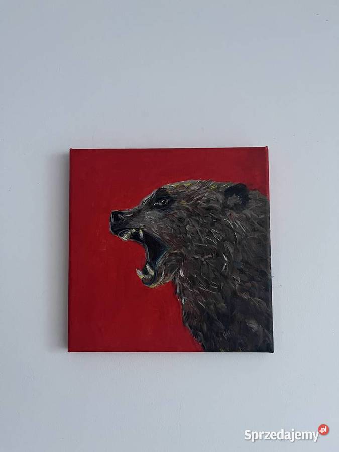 Niedźwiedź brunatny obraz olejny na płótnie  Świebodzin