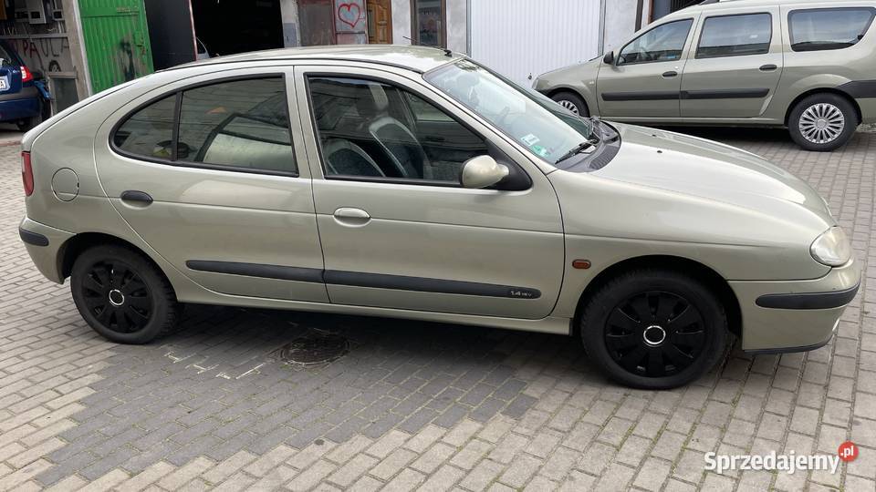 Renault Megane wielkopolskie Szetlewek